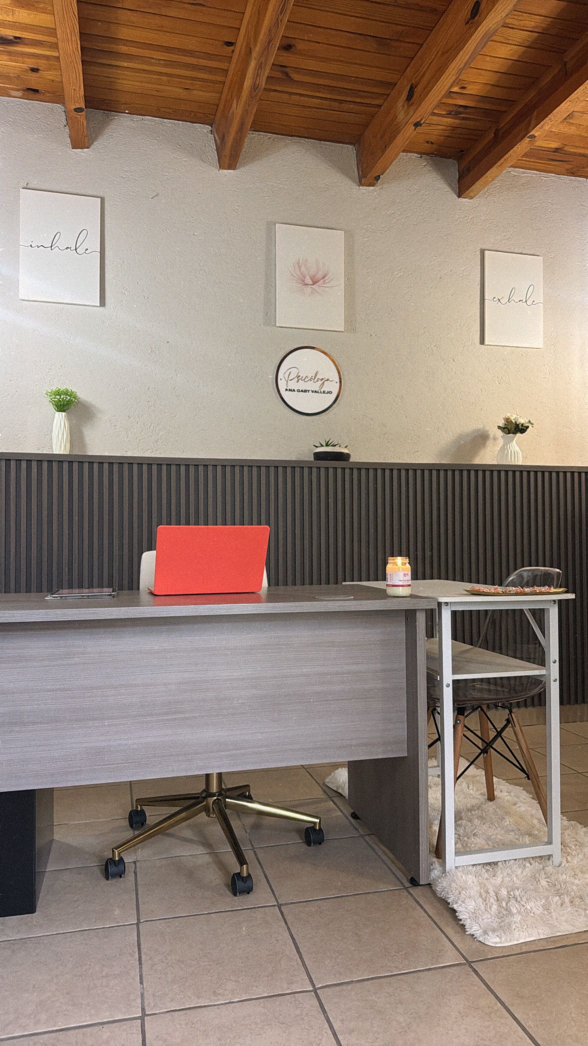 Ana Gabriela Vallejo Casillas-6