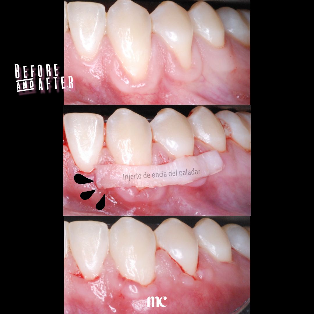 Maria Cristina Garcia Mendez-8