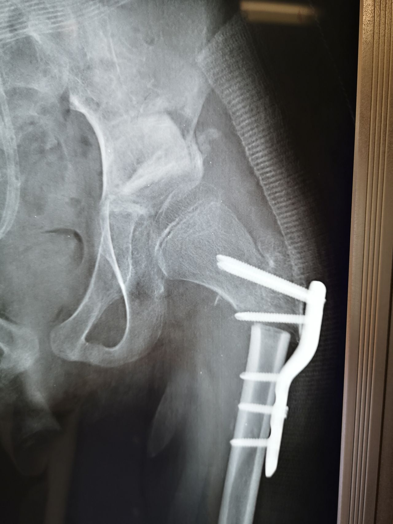 Manuel Ernesto Palma Palma-4