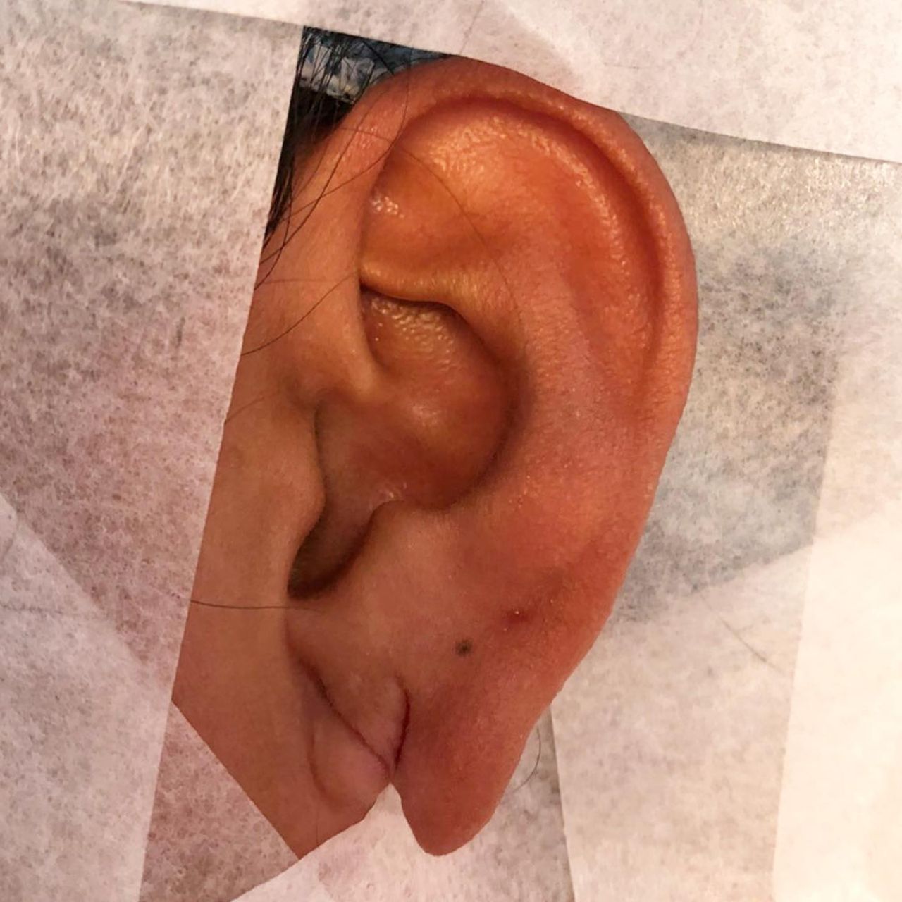 Wendy Carolina González Hernández-5