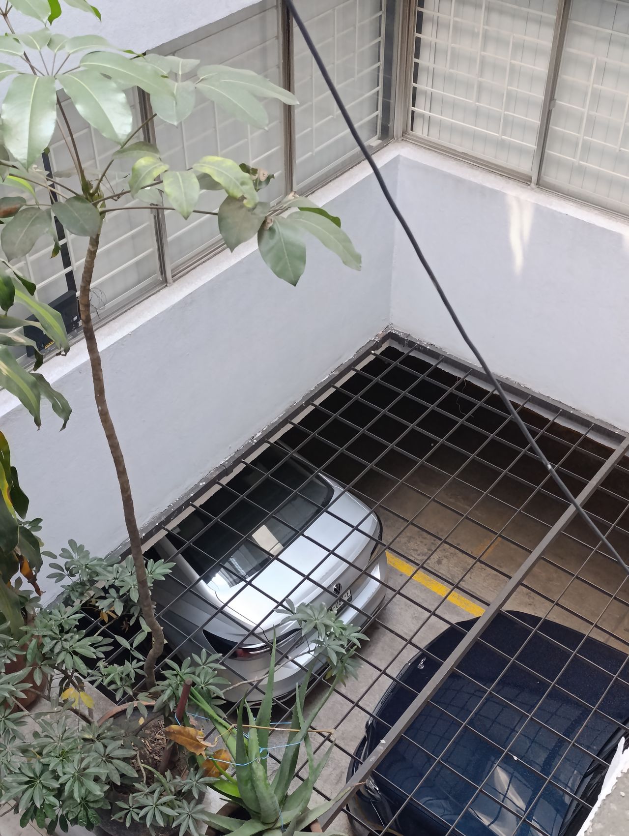 Homero Wences Roman-8