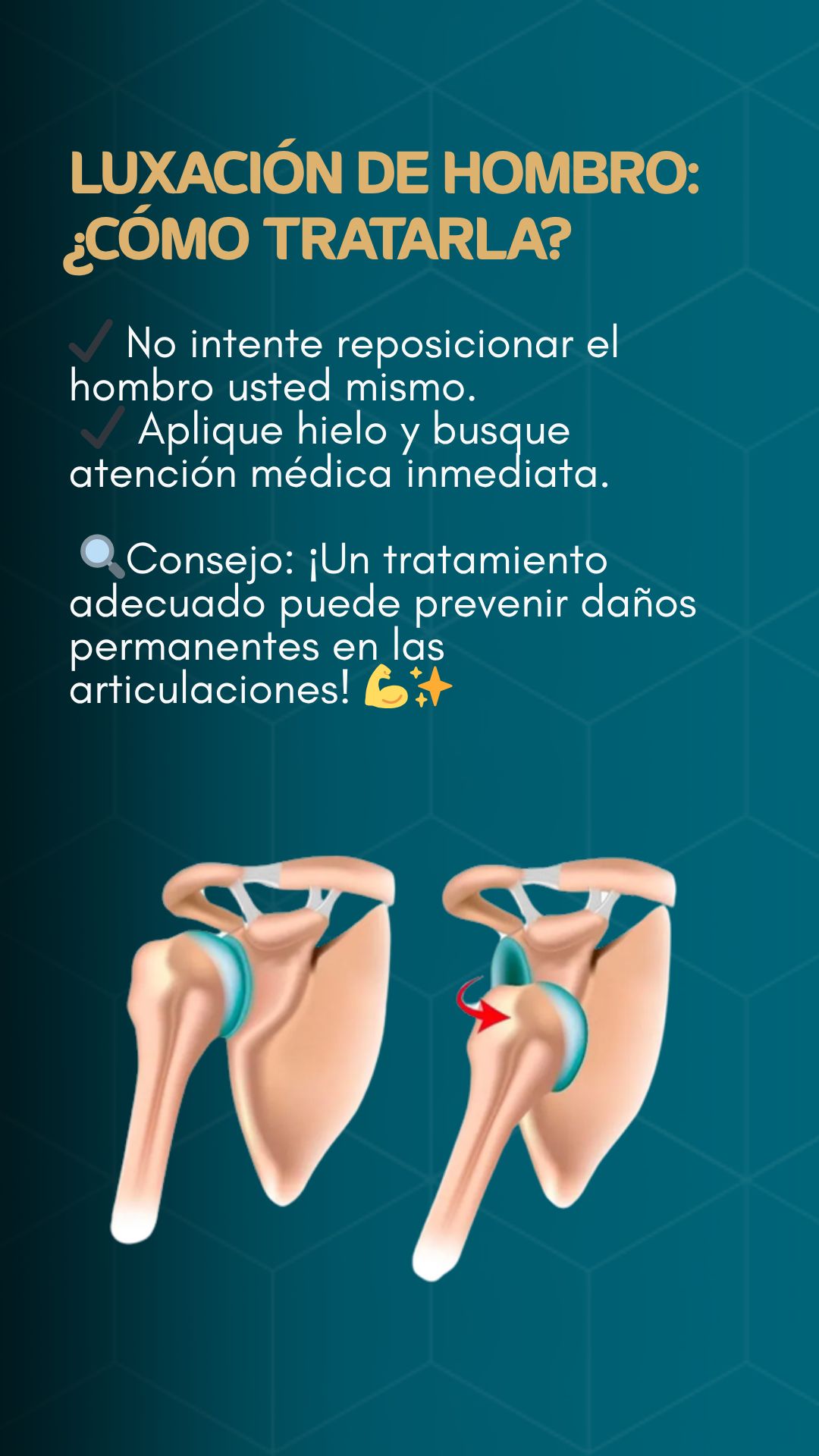 Fernando Zuñiga R.-9