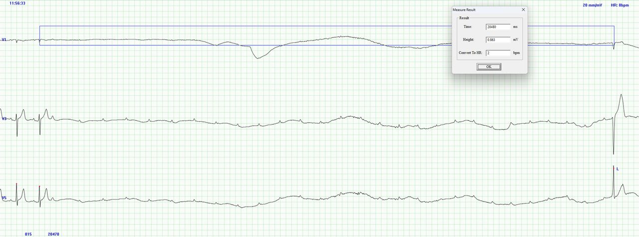 Bernardo Ramírez Martínez-13