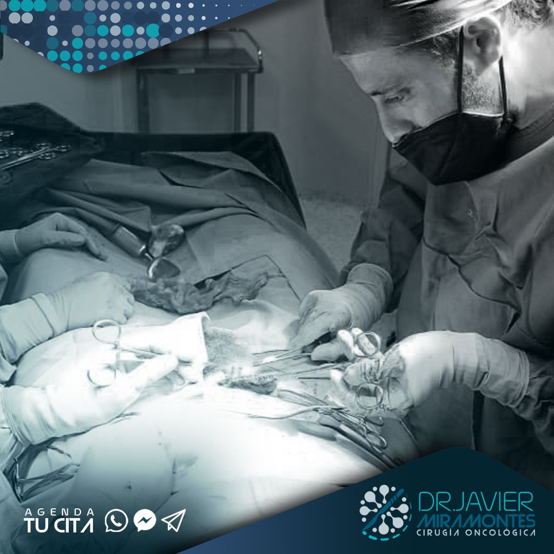 Javier Miramontes Mendez-4