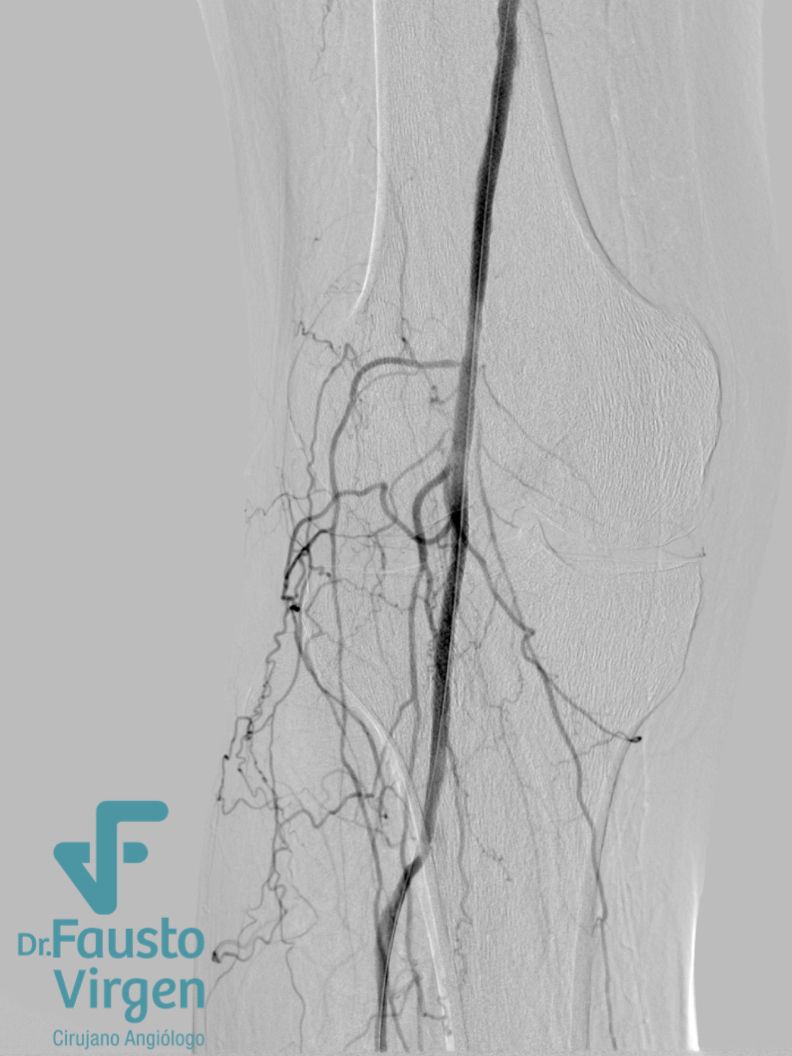 Fausto J. Virgen Barrón-14