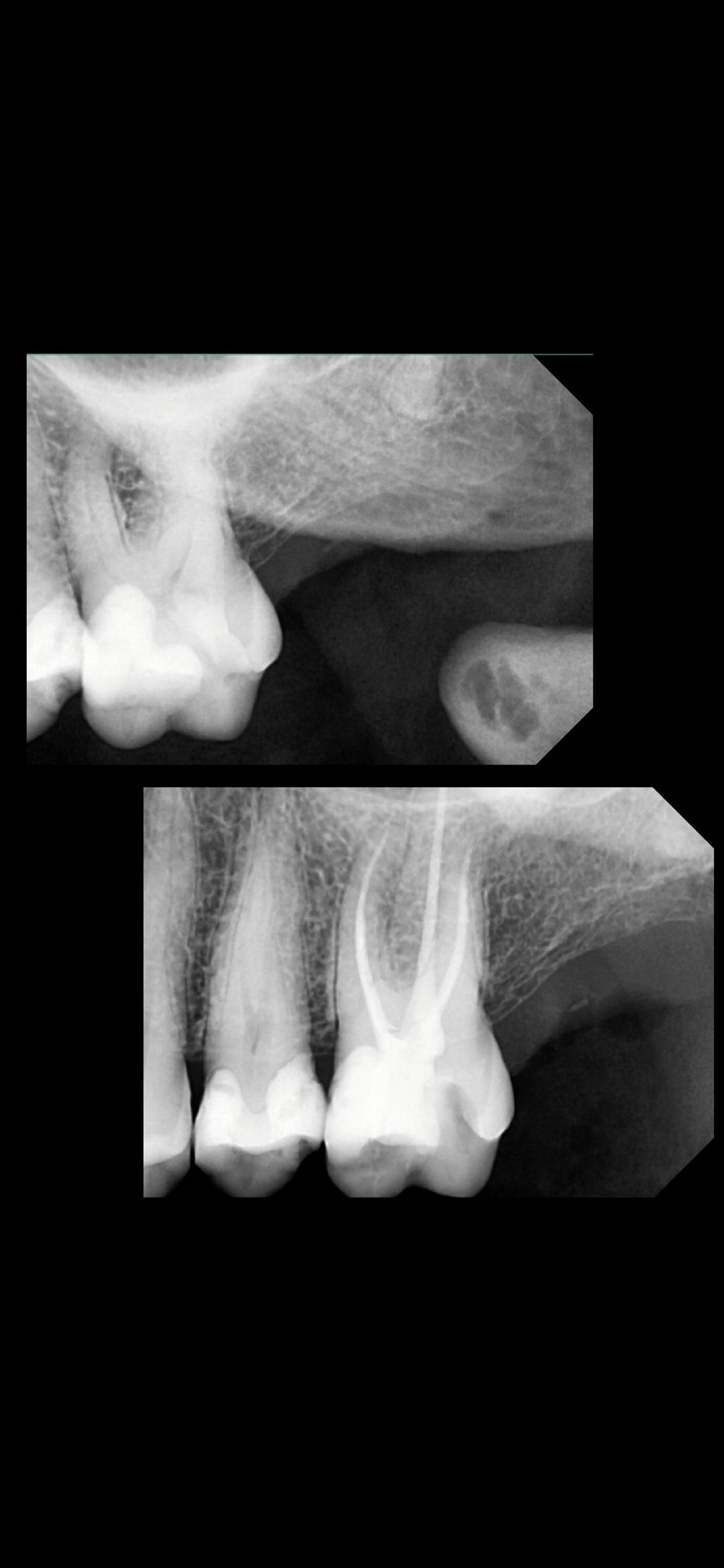 Ana Karen Basulto Cruz-9