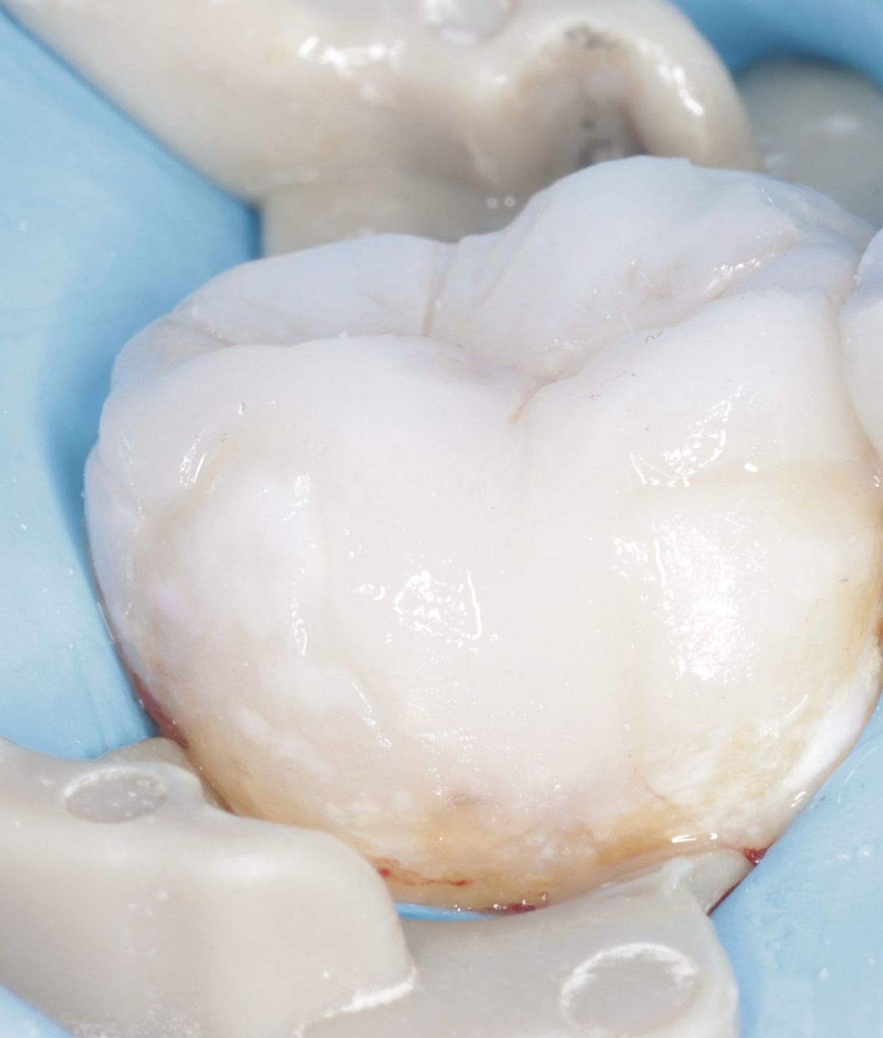 Fredy Alejandro Roblero Gónzalez-58