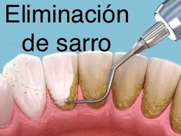 Wendy Sánchez P.-19