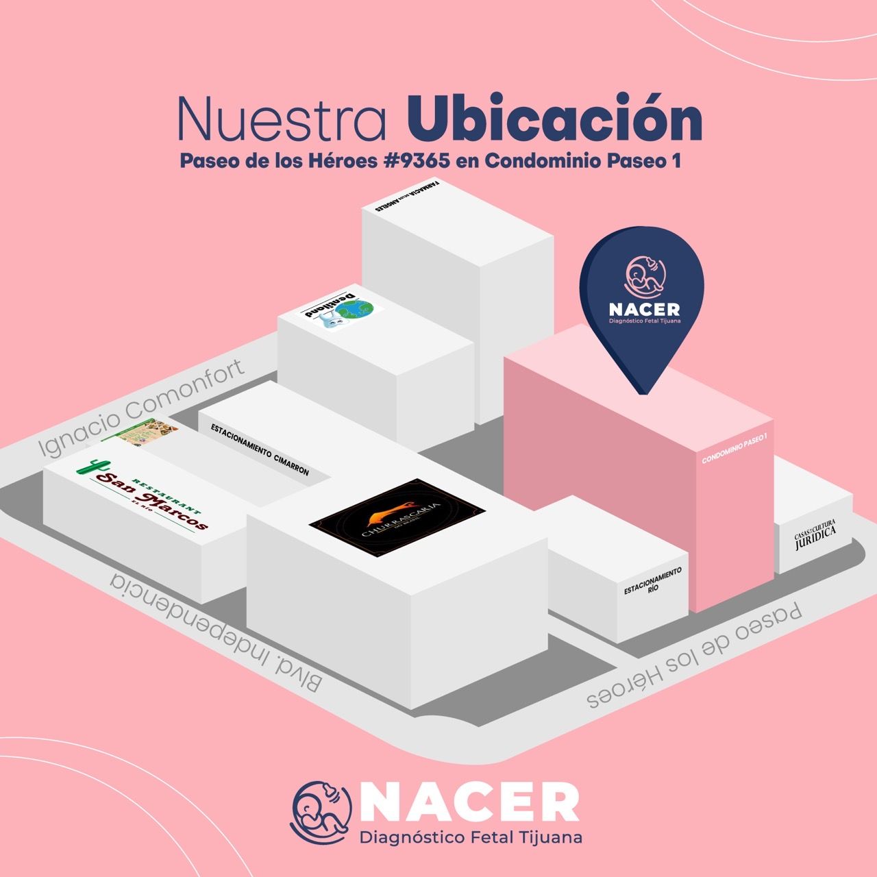 Viridiana Martinez Avendaño-8