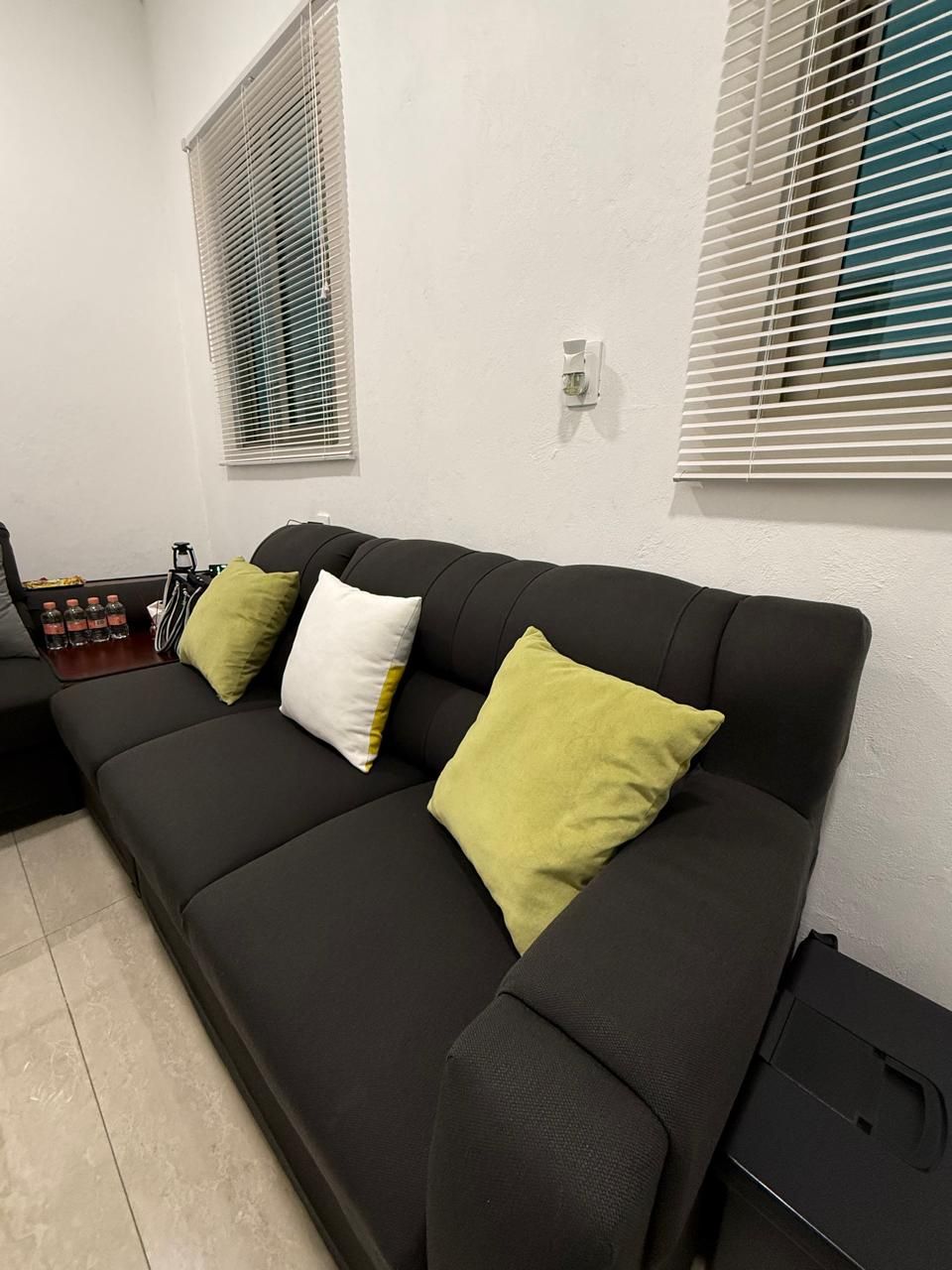 Alma Rebeca González Martínez-2