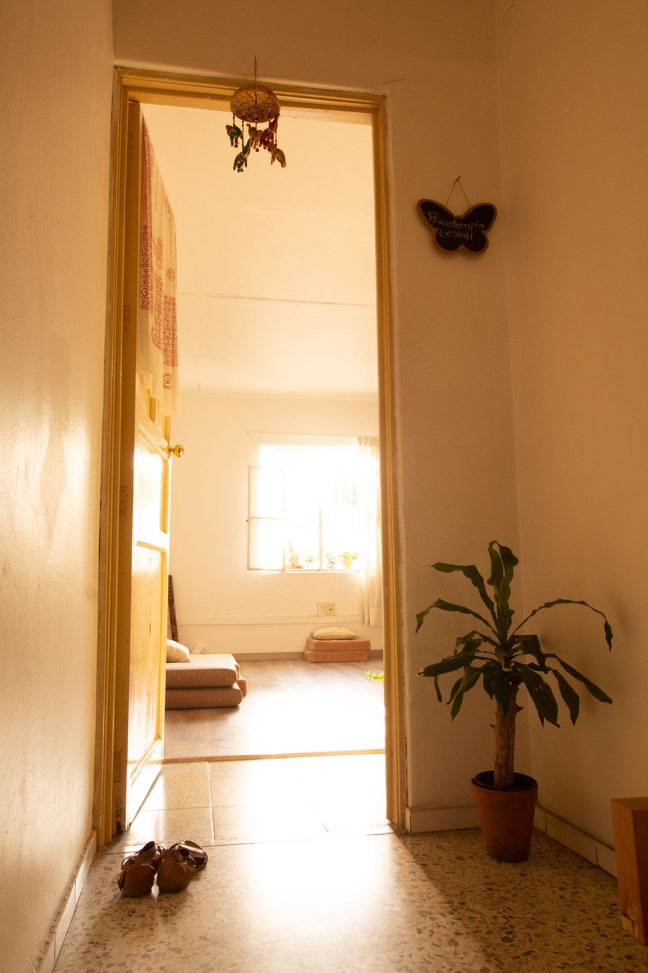 Beatriz Acosta Cuevas-1