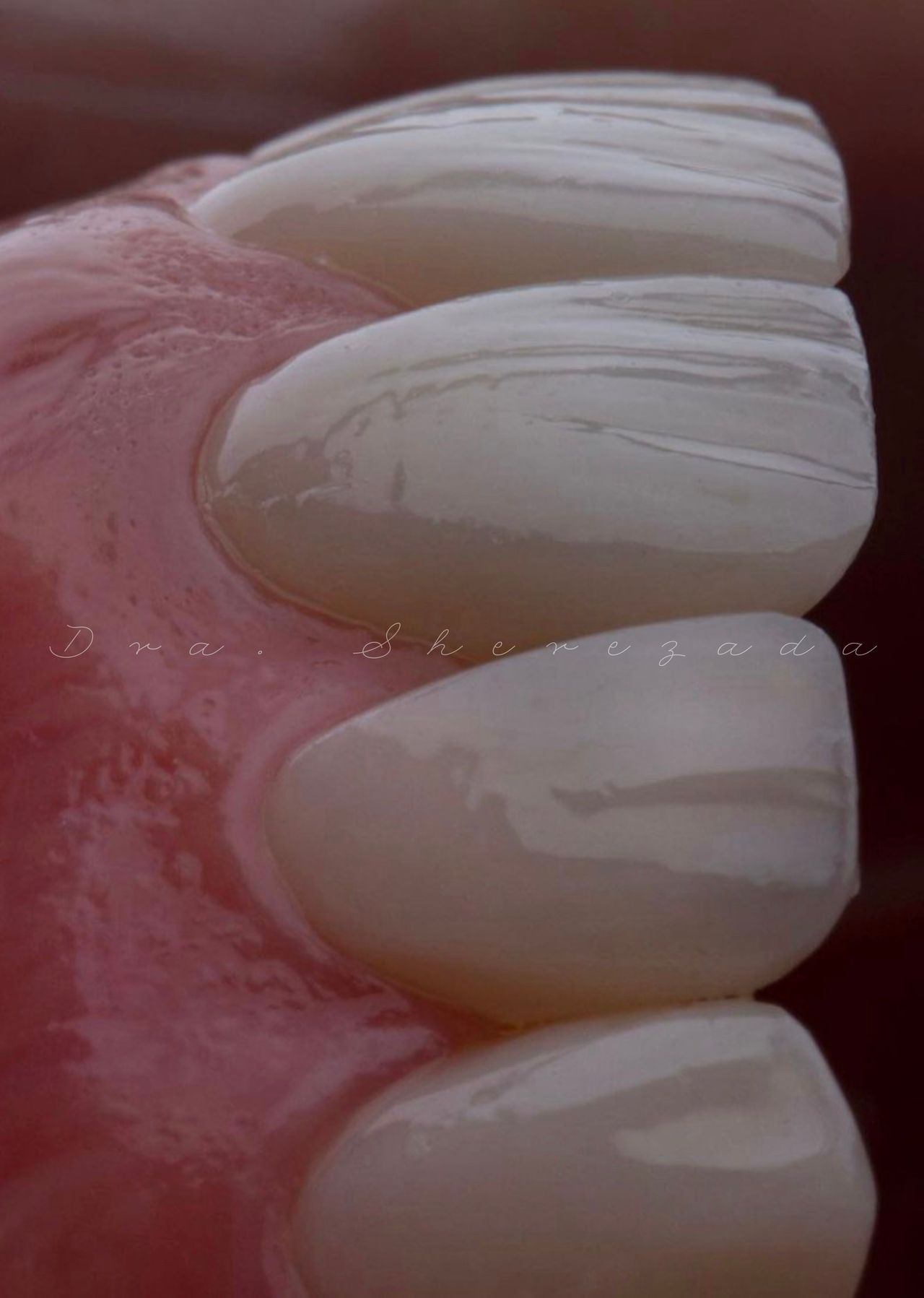 Sherezada Garrido-21