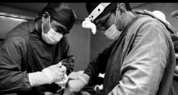 Fredy Napoles Bonifacio-1