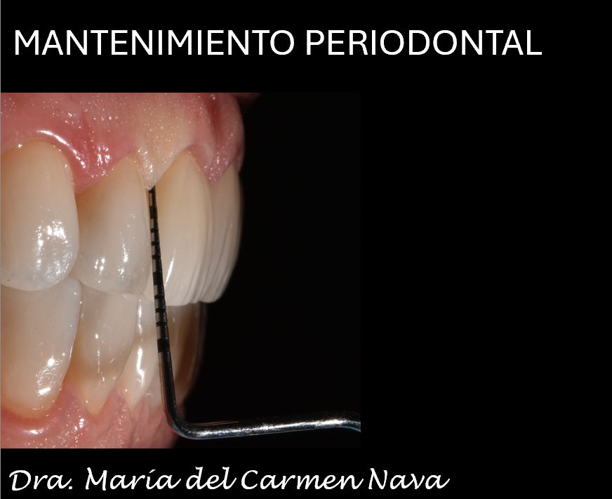 María Del Carmen Nava Jiménez-30