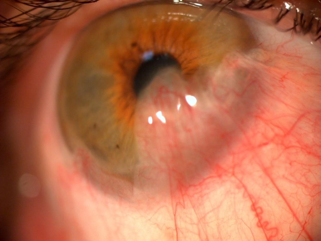 Karell Rodriguez Naranjo-3