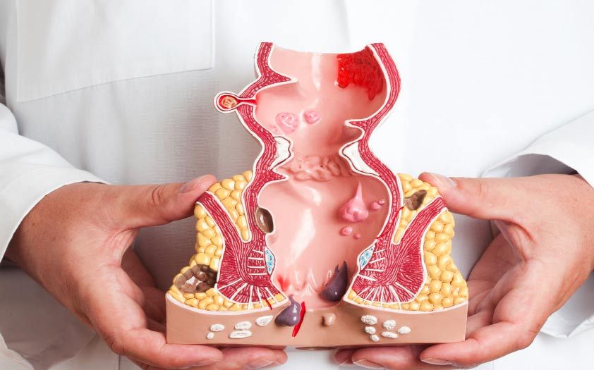 Jose Gpe Reynaga Velazquez-2