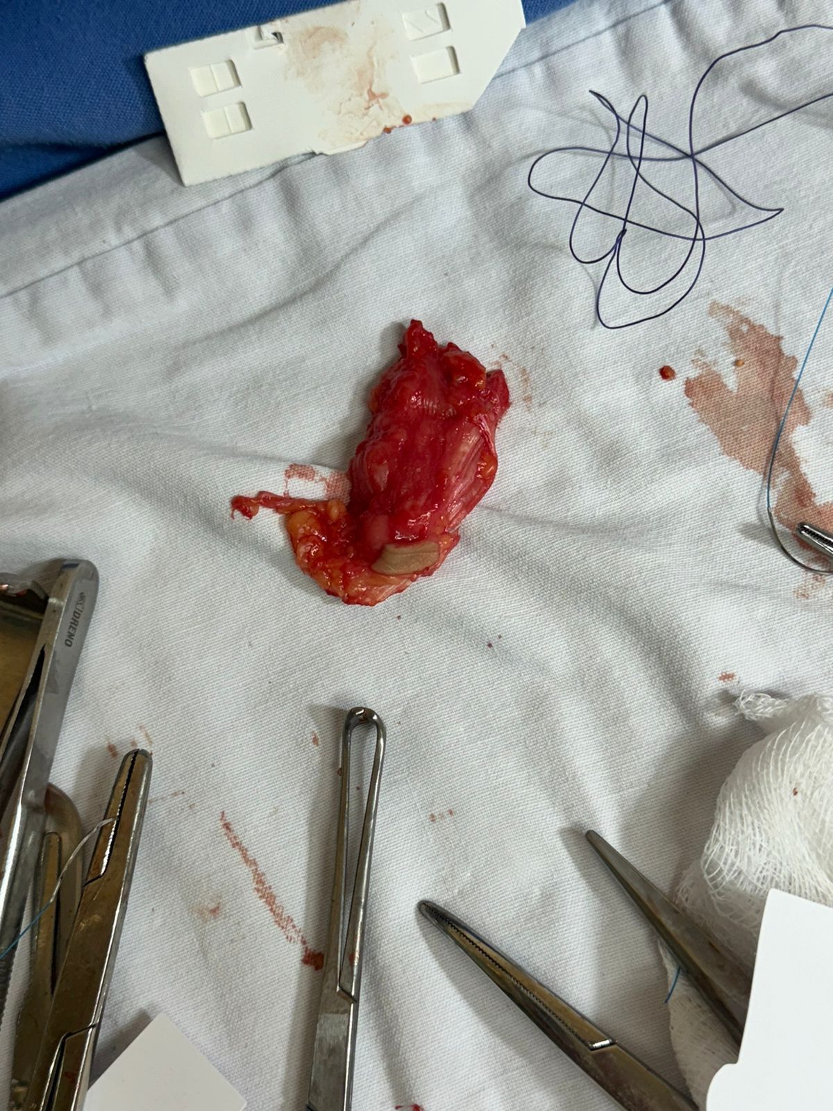 Luis Enrique Armenta  Ramirez-2