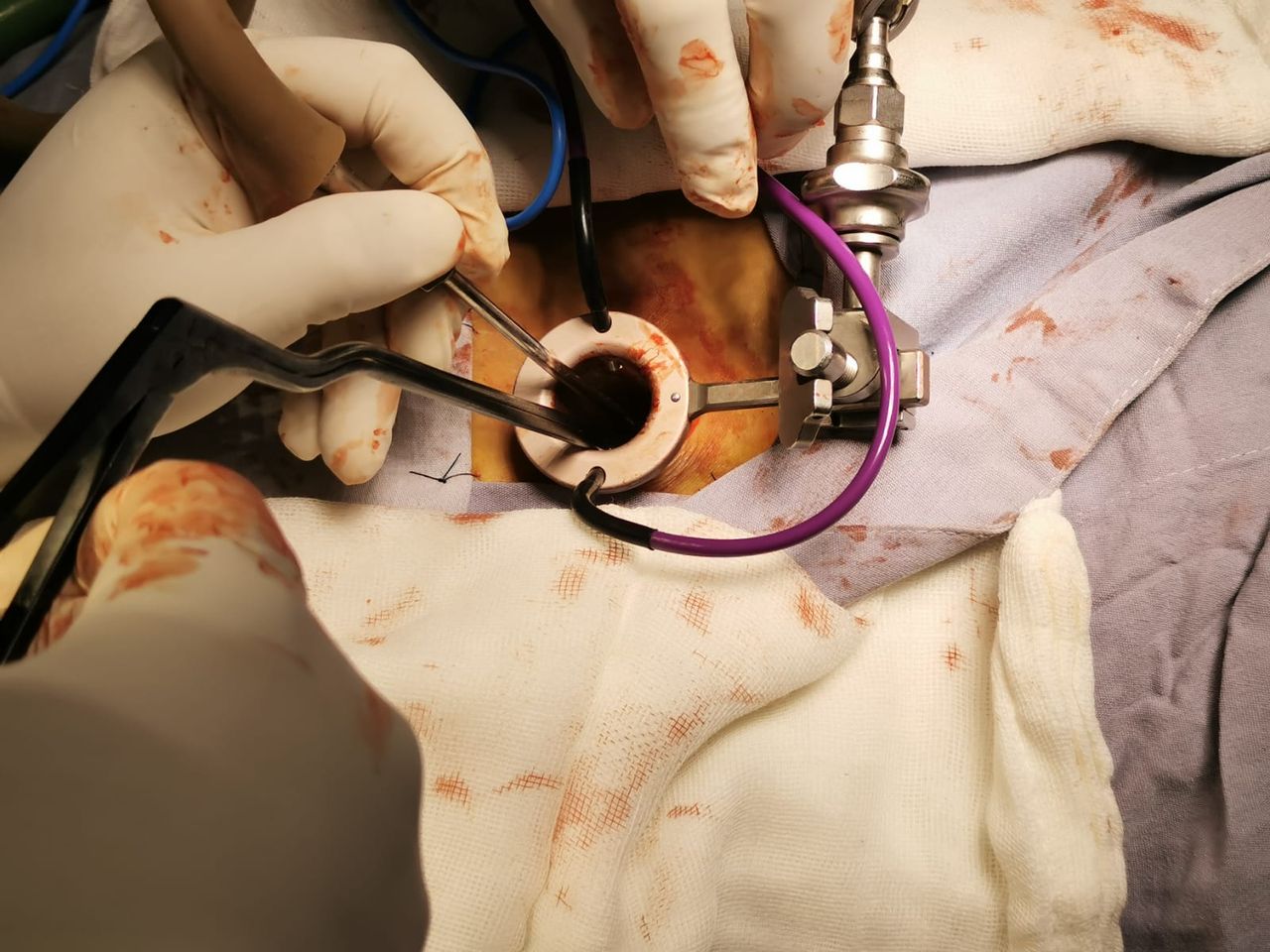 Ivan Núñez Velázquez-1