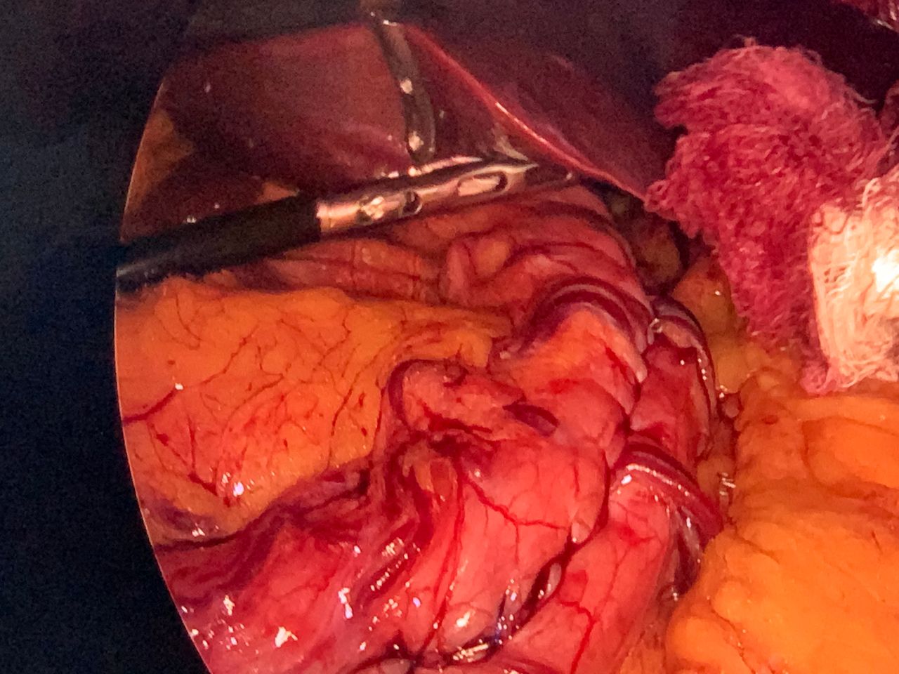 Miguel Ángel García Payán-7