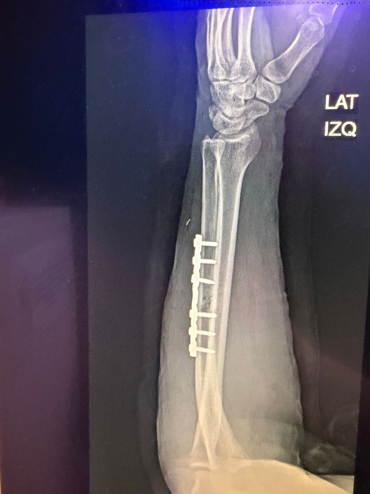 Orli Salinas Velazquez-3