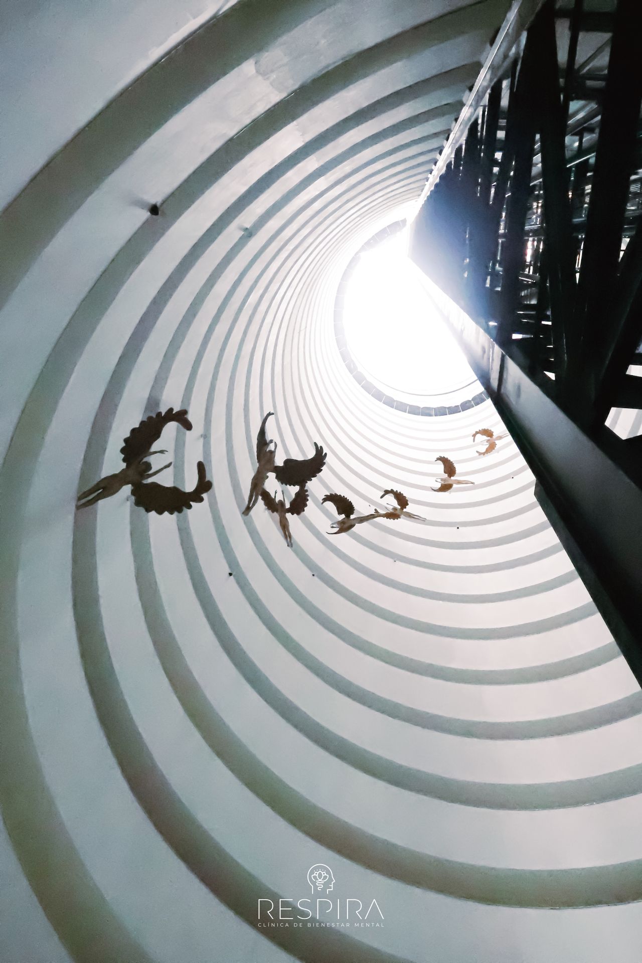 Sofia Treviño Treviño-7