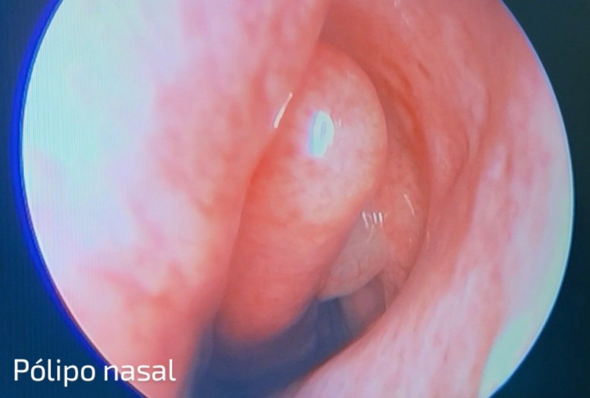 Alejandra Guadalupe Salado Leza-0