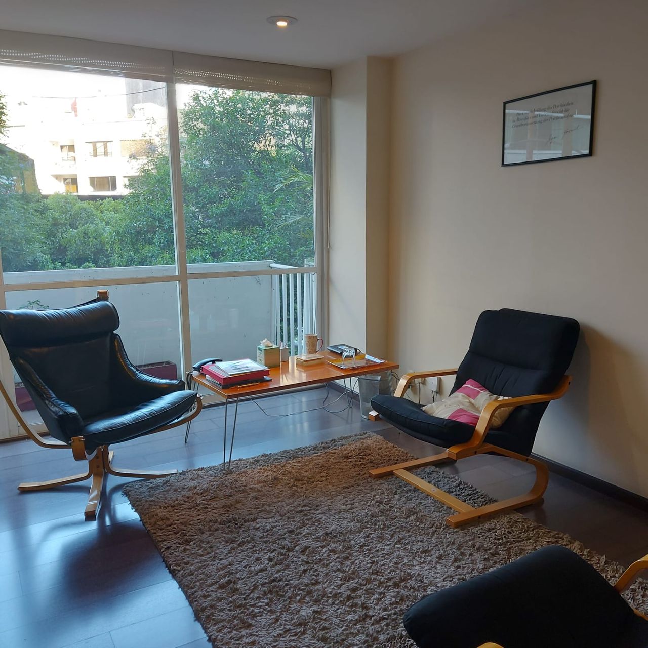 Dalia Rajsbaum Gleizer-0