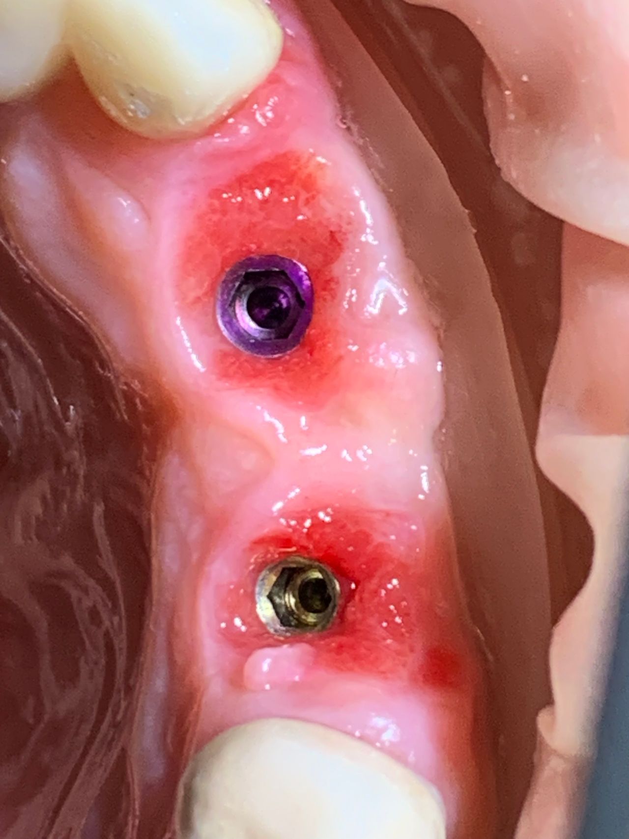 Alberto Miguel Rodriguez Soto-43