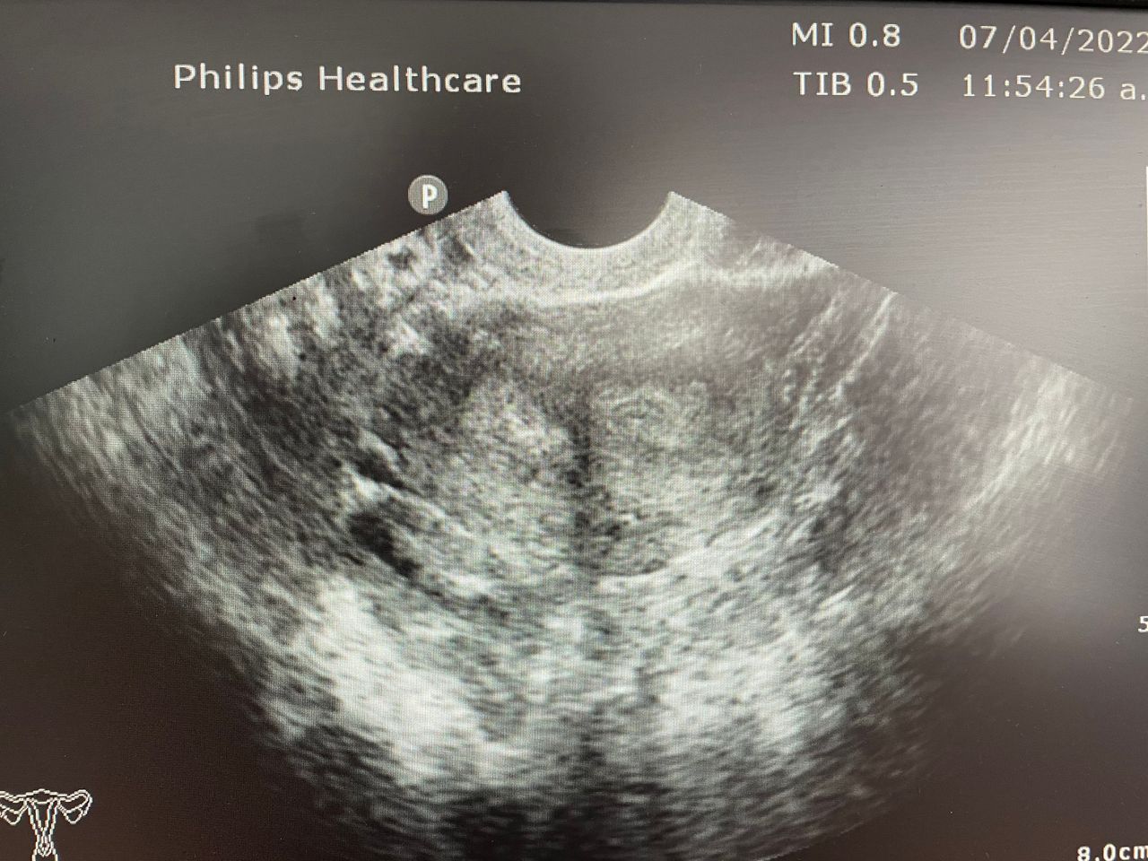 Gonzalo Hernández Martínez-43