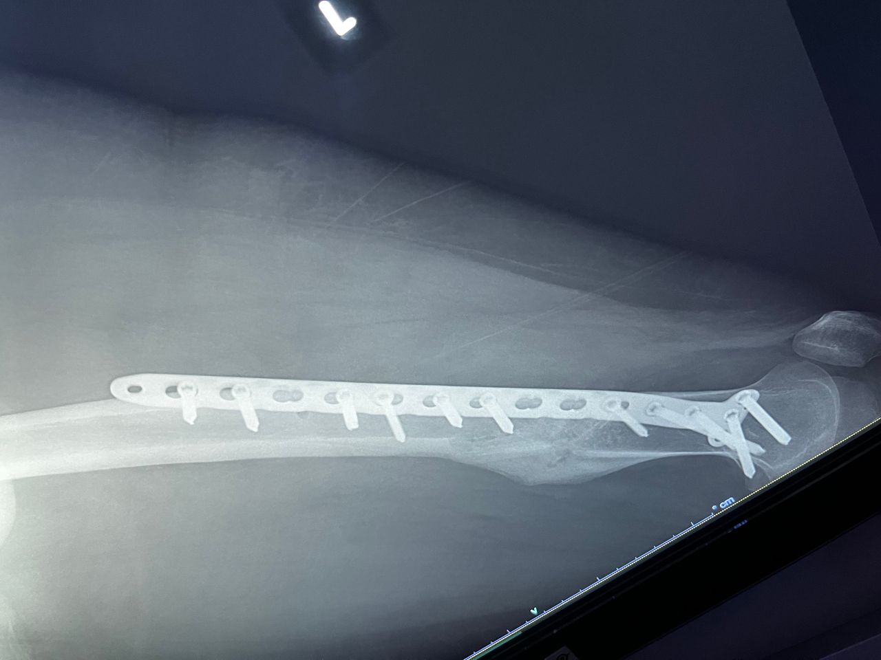 Alberto Lorenzo Cortés-9