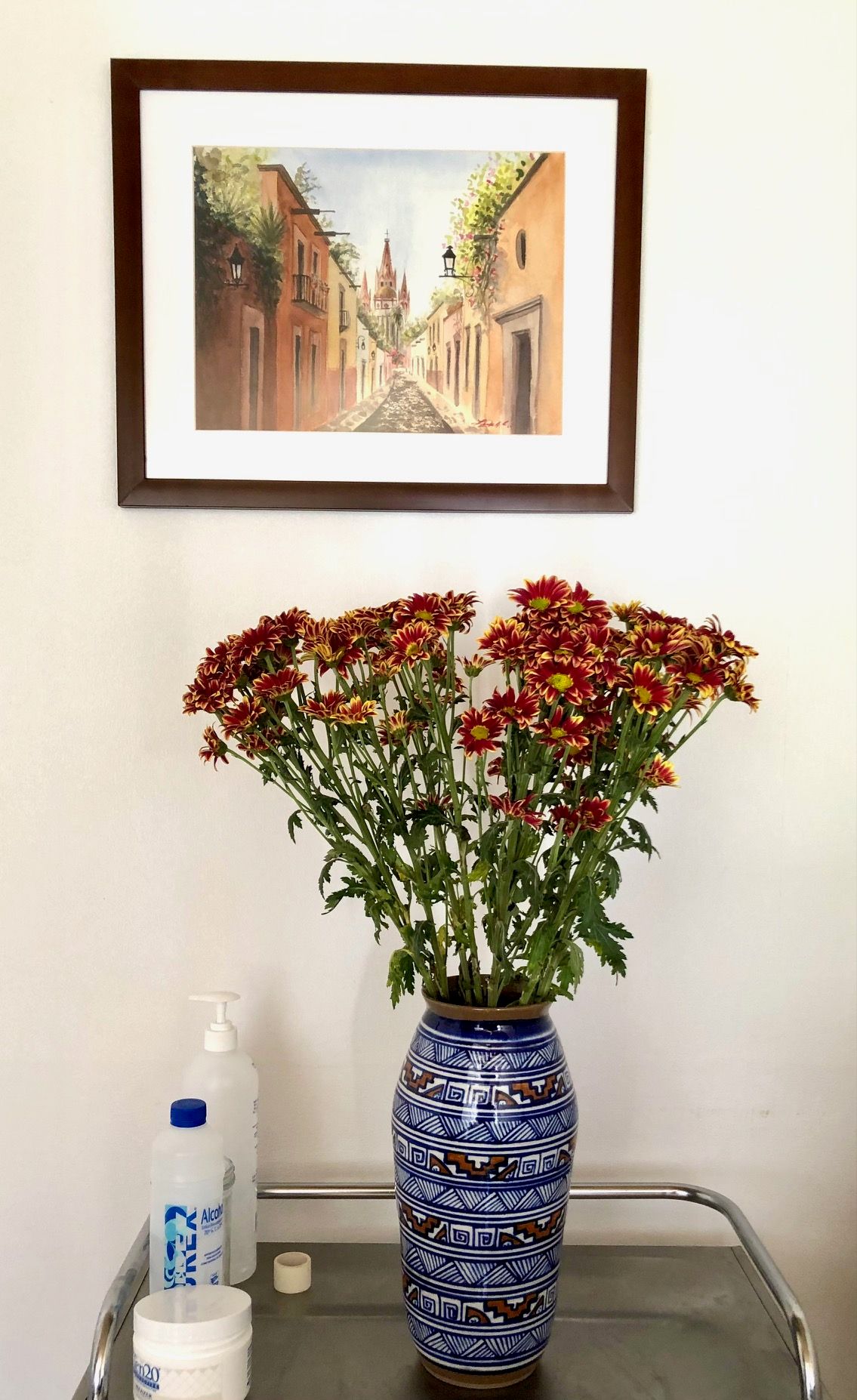 Mairim Sarduy Fernández De Castro-8