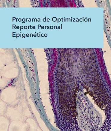 Luz María Paola Castillo Villalón-2