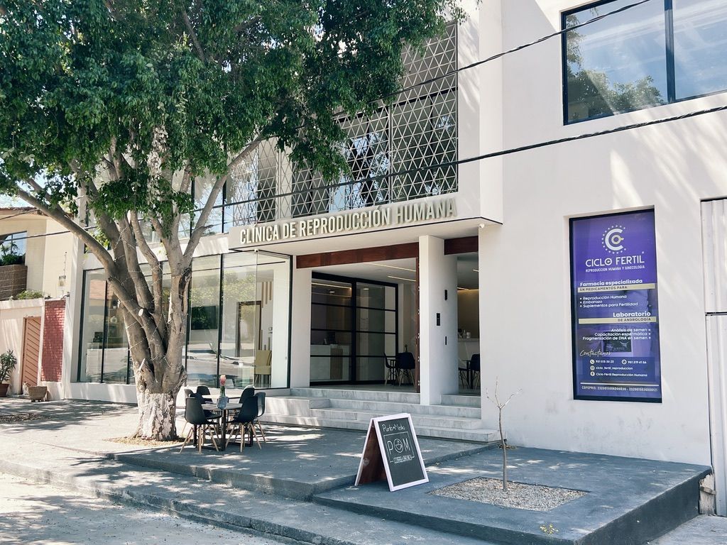 Robert Peláez Luengas-0