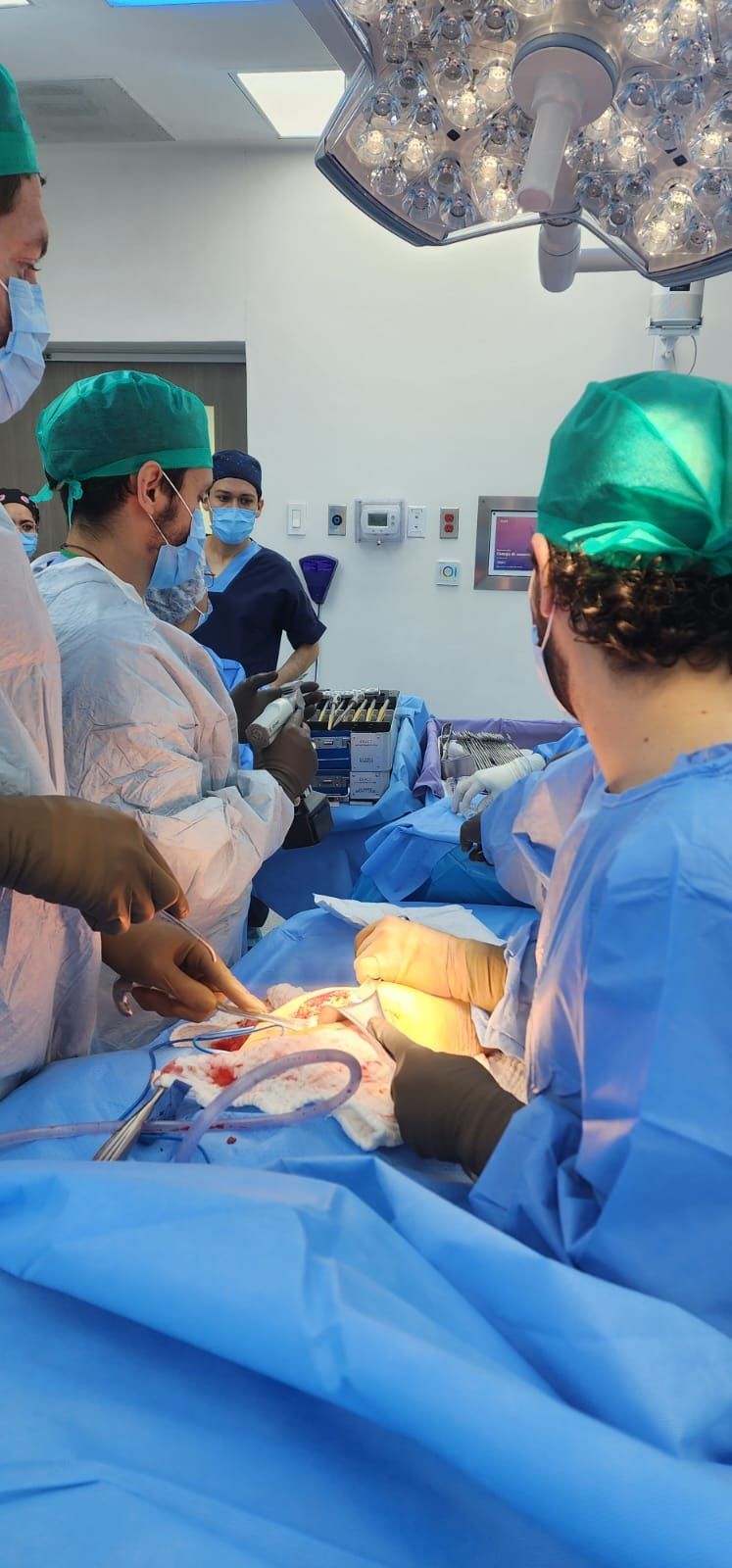 Mario Javier Ortiz De Montellano Gallaga-13