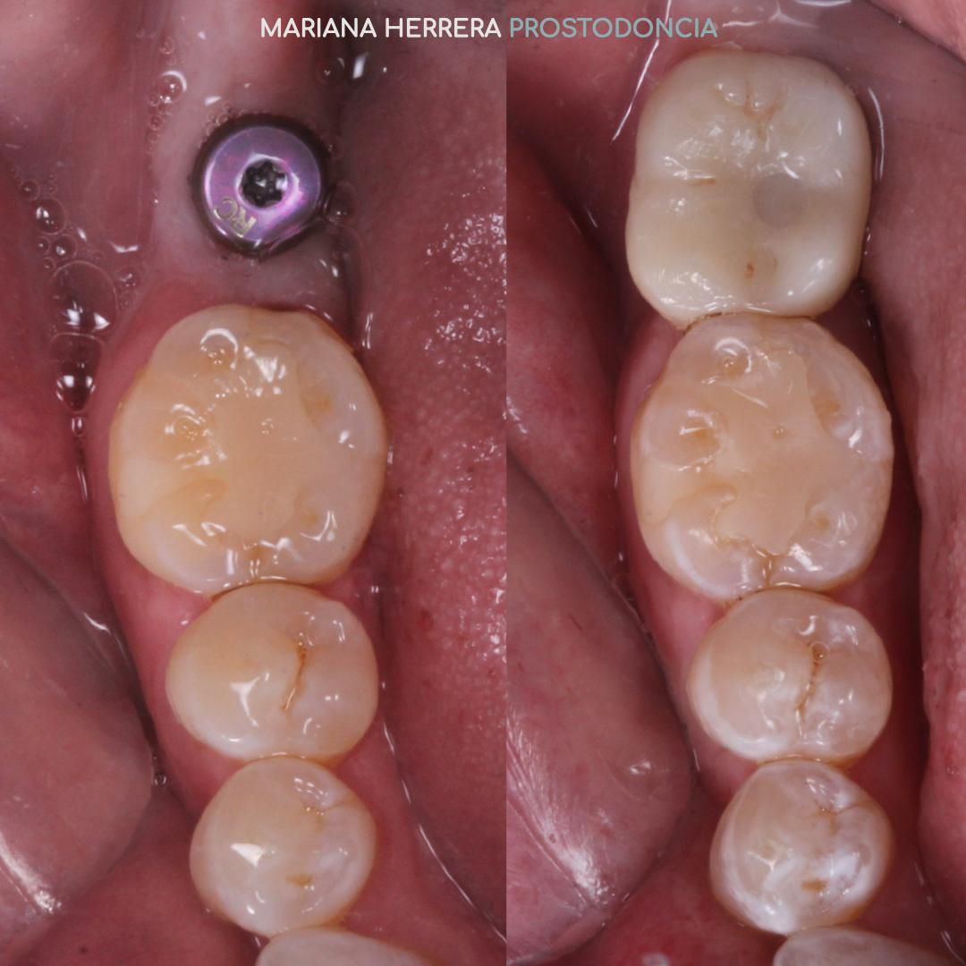 Mariana Herrera Martín Del Campo-19