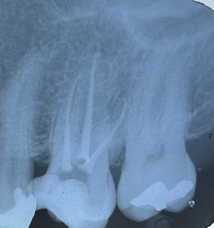 Fernanda Pérez Murrieta-3