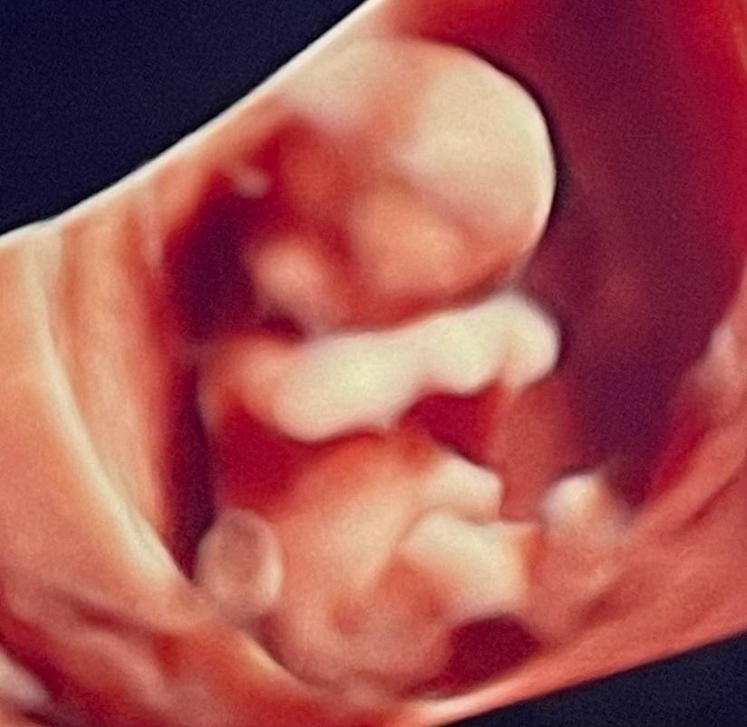 Mayi Mayret Mesquiti-19