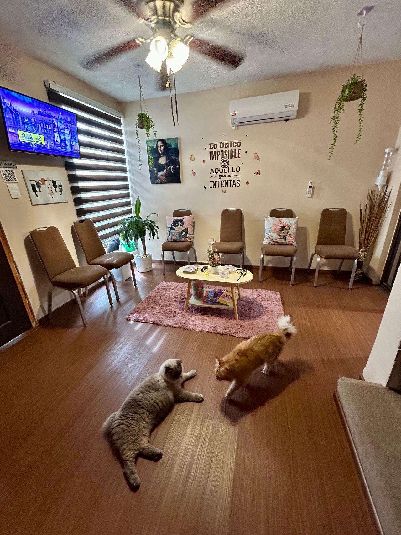 Jhoana Mendoza Larios-5