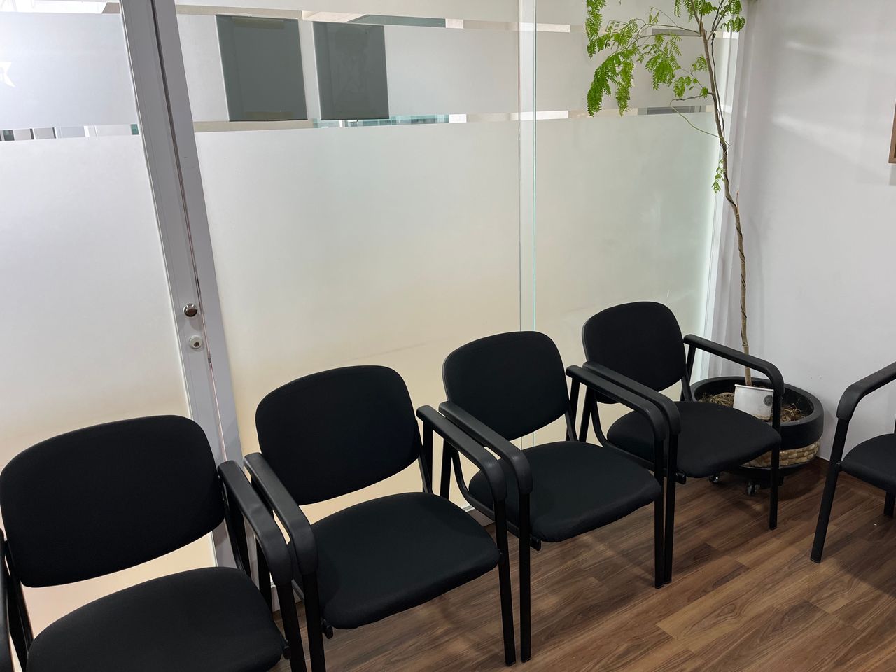 Fabiola Oropeza Bonfanti-11