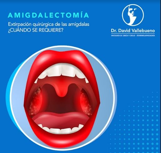 David Fernando Vallebueno Estrada-1