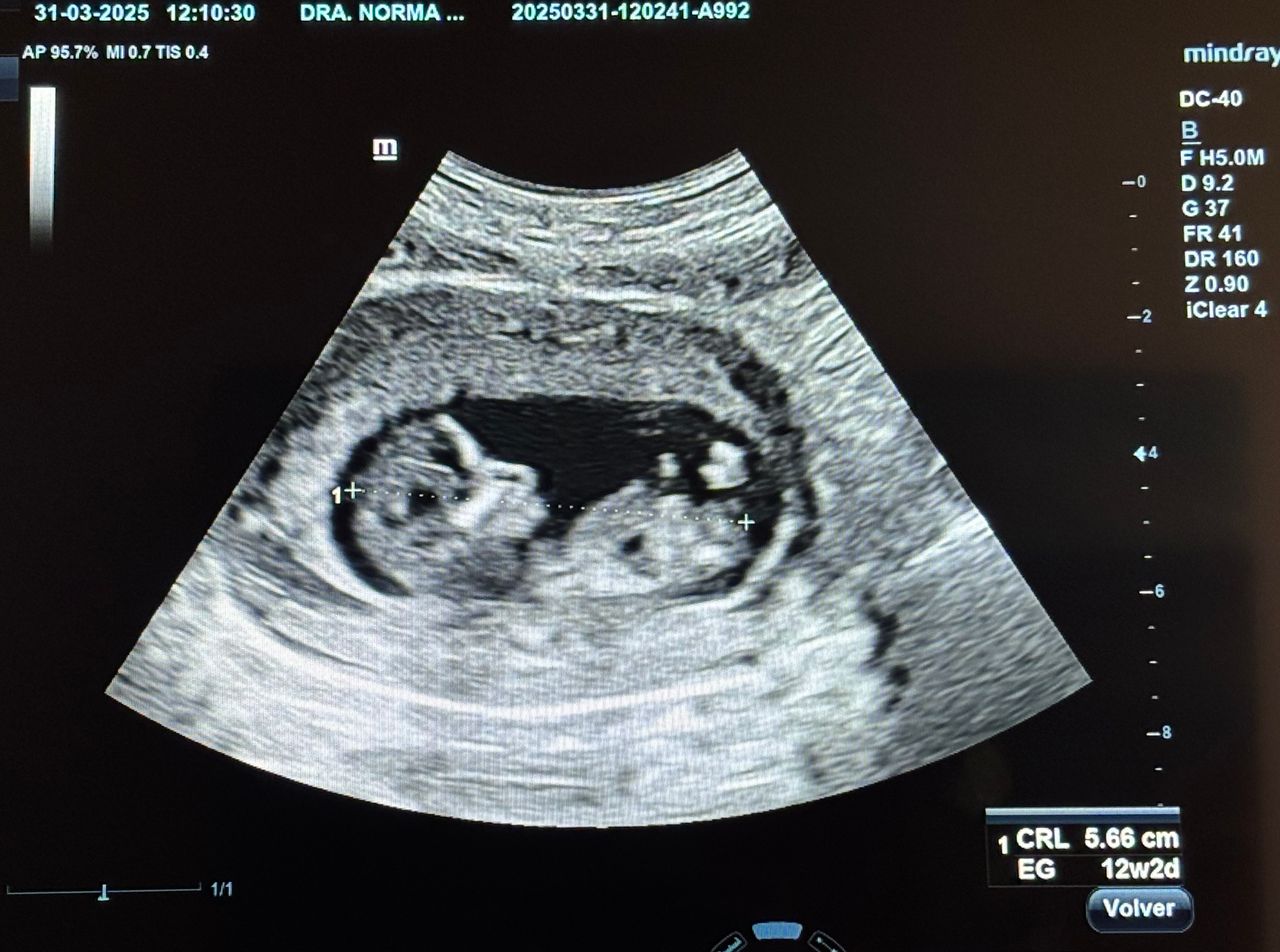 Norma Alicia Fernández Sifuentes-6