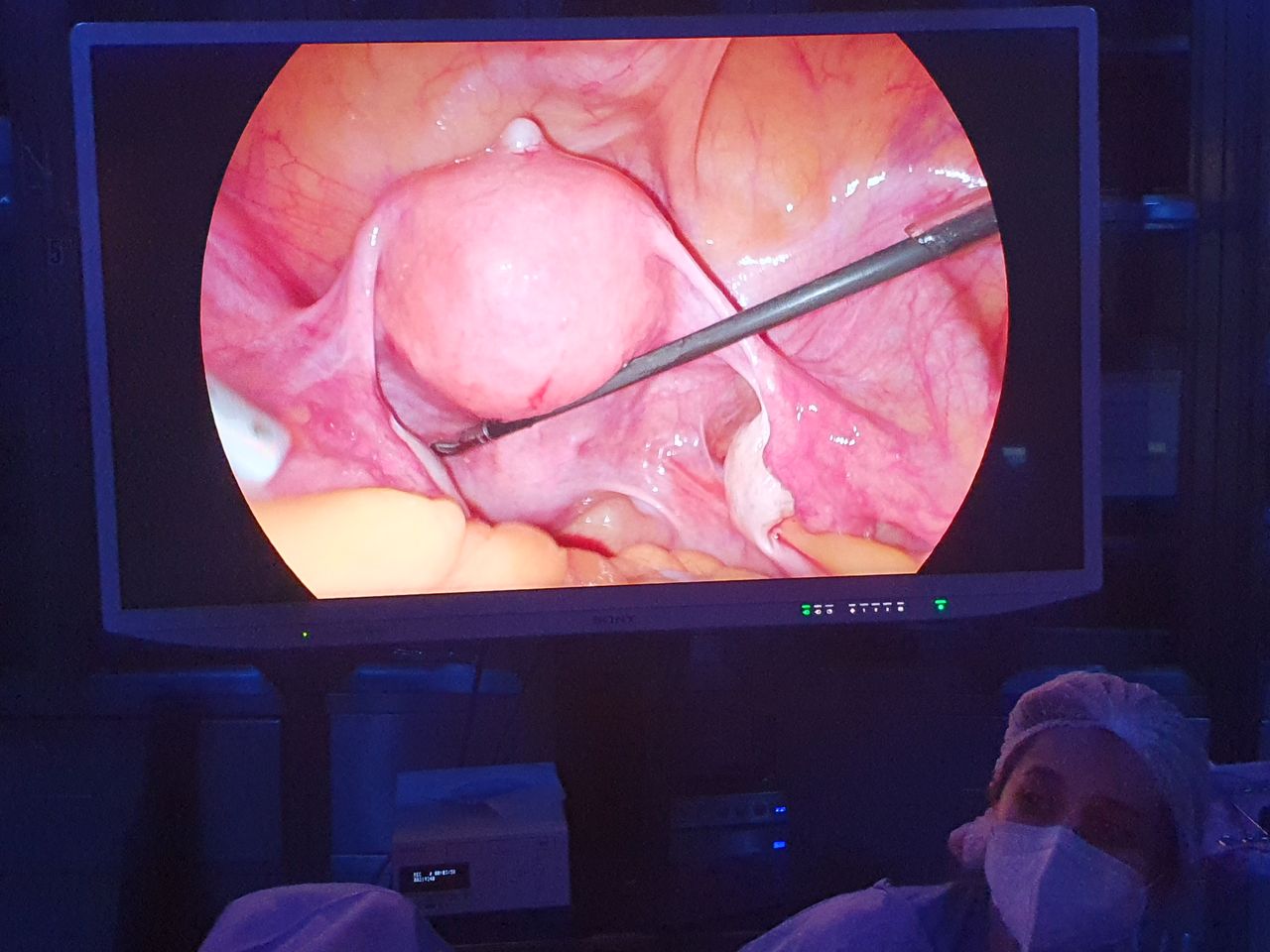 Martha Helena Cabezas Pérez-34