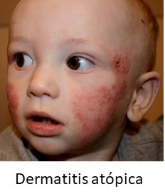 Jaime Del Rio Chivardi-8