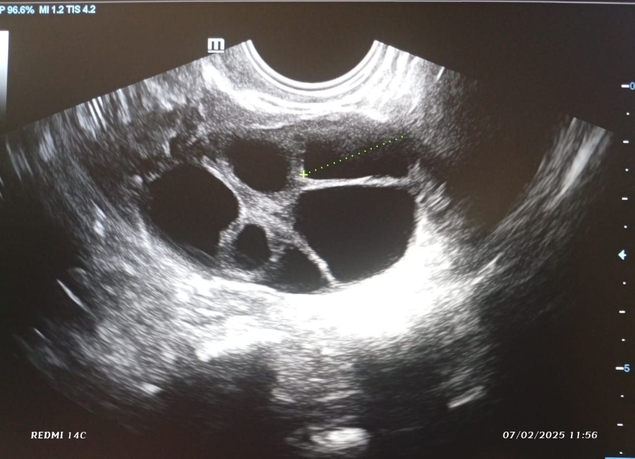 Karina Cázarez Pérez-7