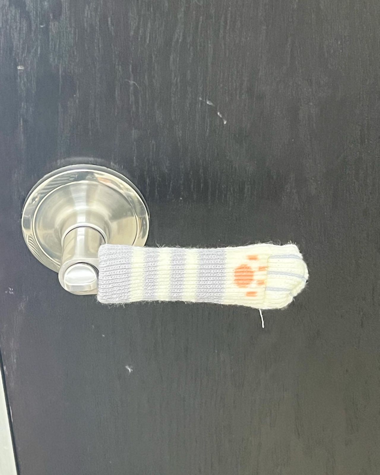 Luz Gabriela Camarena-5