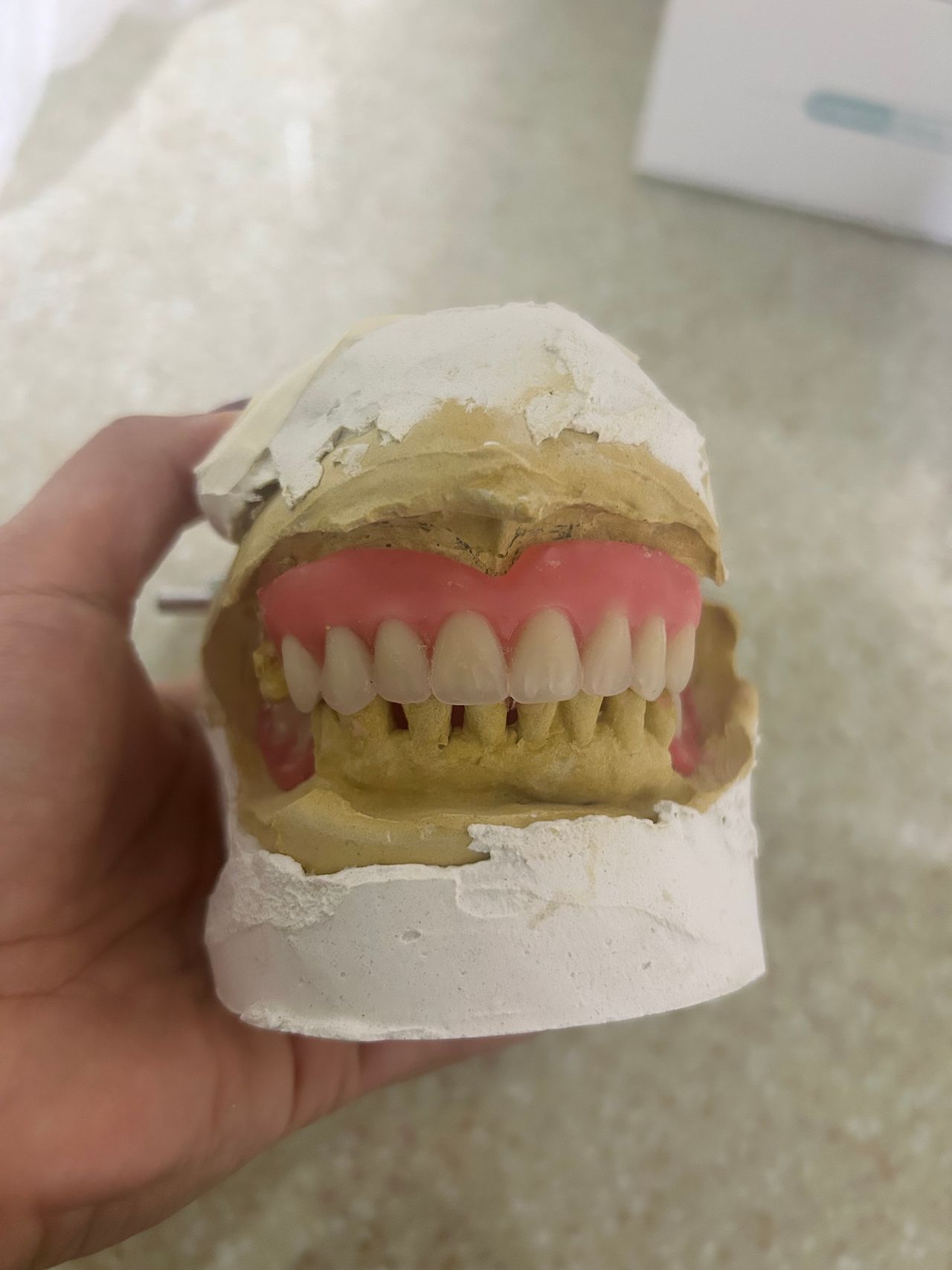 Sandra Carolina Cigala Martínez-5