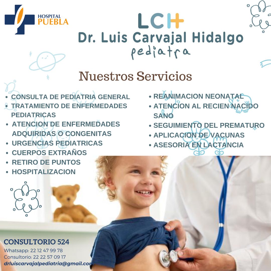 Luis Carvajal Hidalgo-13