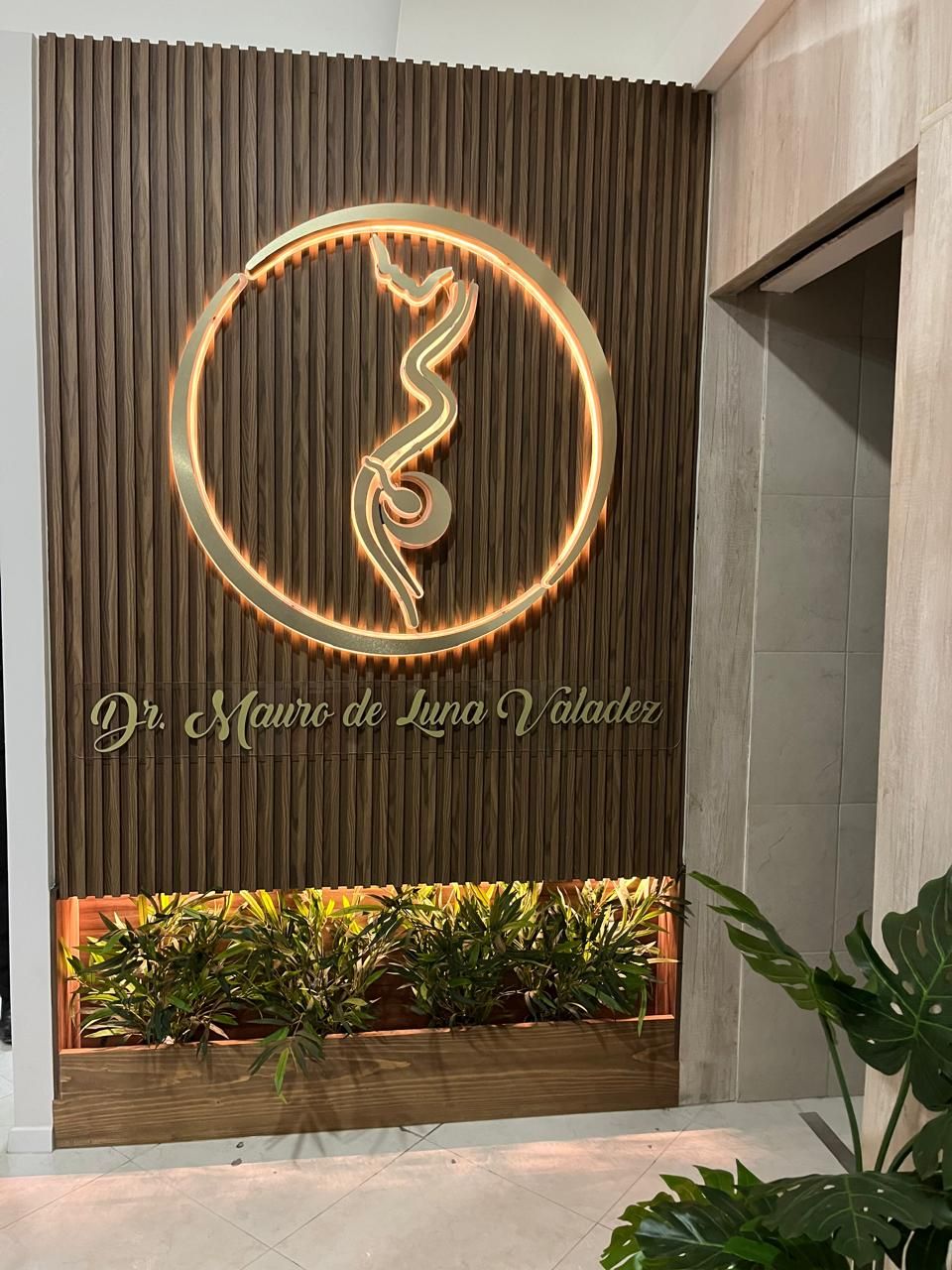 Mauro De Luna Valadez-2