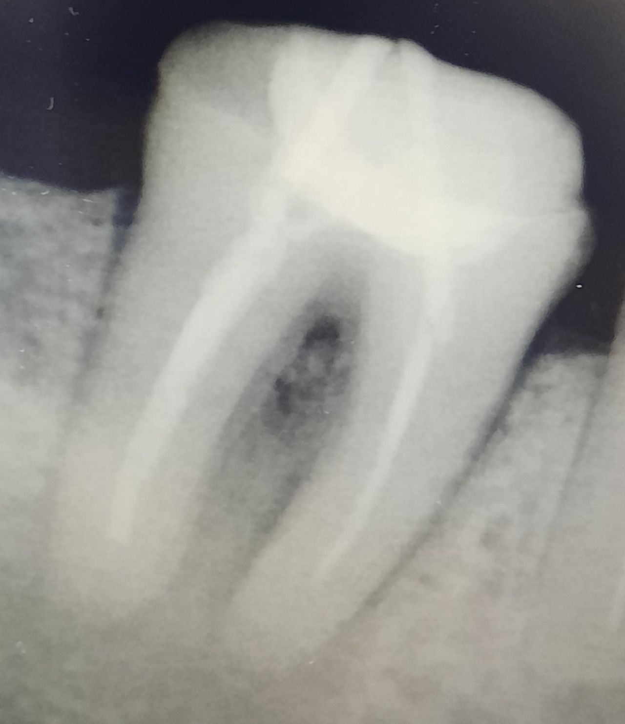 Oscar Justo Bustos-4