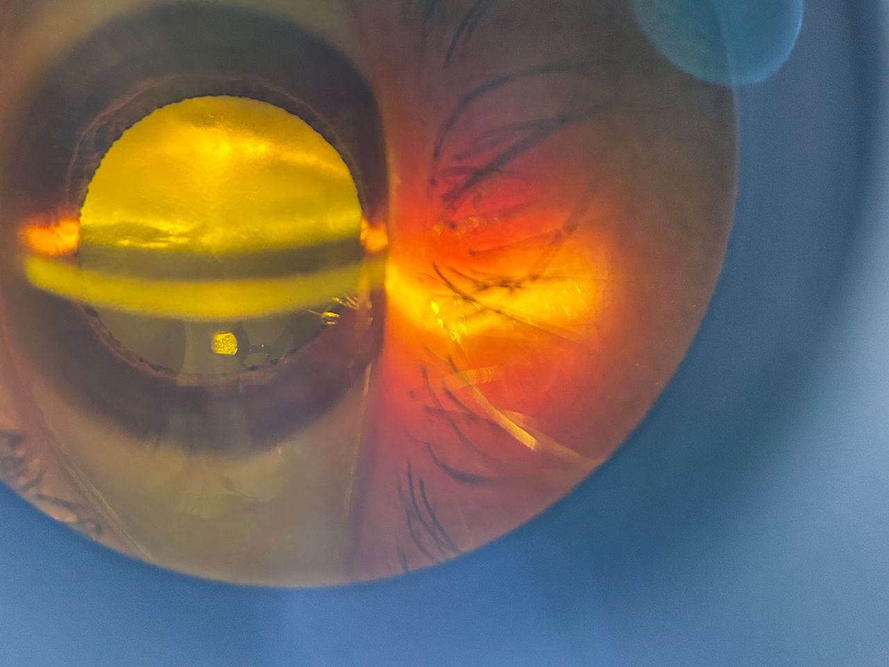 Daniel Martin Laguna Muñoz-13